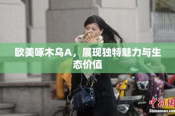 欧美啄木乌A，展现独特魅力与生态价值