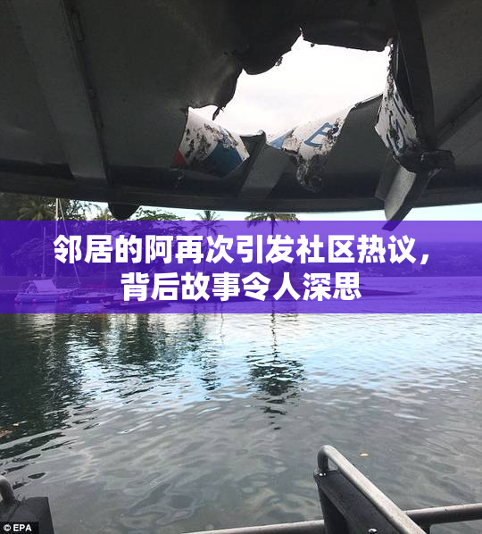 邻居的阿再次引发社区热议，背后故事令人深思