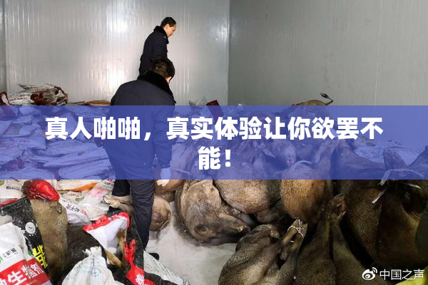 真人啪啪，真实体验让你欲罢不能！