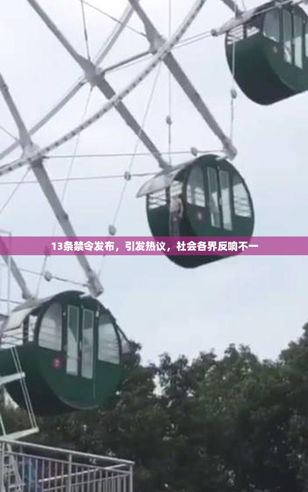 13条禁令发布，引发热议，社会各界反响不一