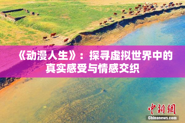 《动漫人生》：探寻虚拟世界中的真实感受与情感交织