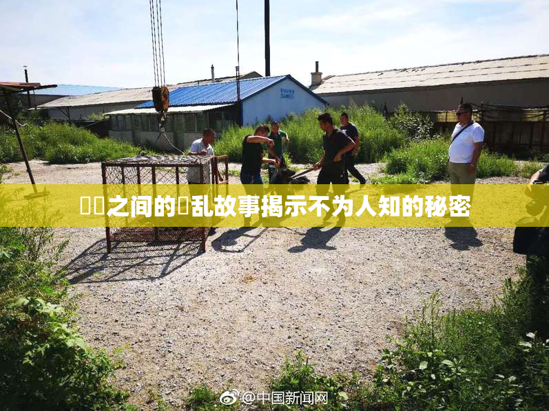 妺妺之间的婬乱故事揭示不为人知的秘密