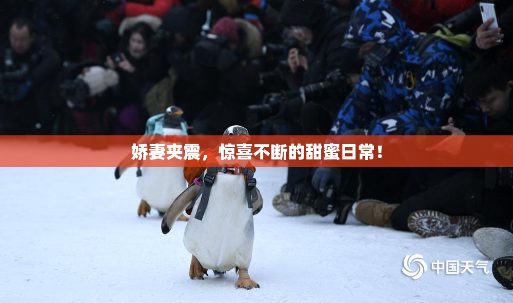 娇妻夹震，惊喜不断的甜蜜日常！