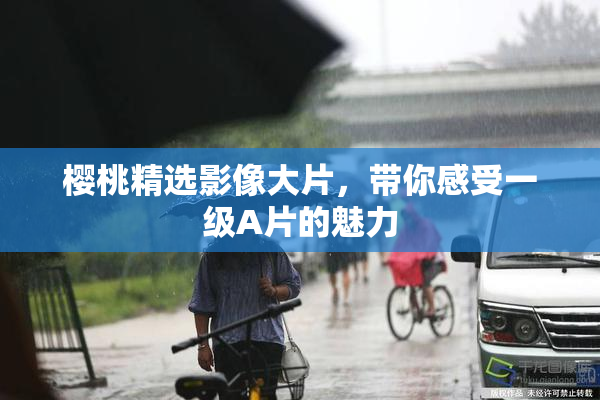 樱桃精选影像大片，带你感受一级A片的魅力