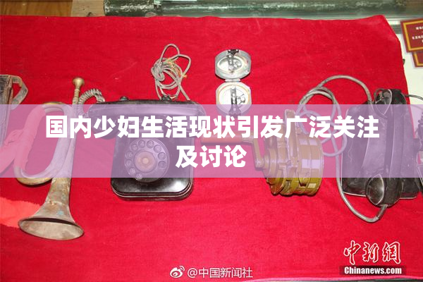 国内少妇生活现状引发广泛关注及讨论