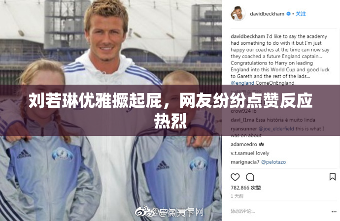刘若琳优雅撅起屁，网友纷纷点赞反应热烈