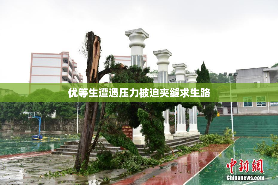 优等生遭遇压力被迫夹缝求生路