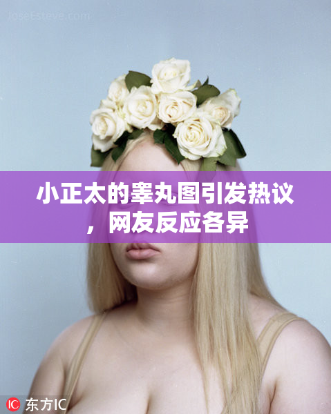小正太的睾丸图引发热议，网友反应各异