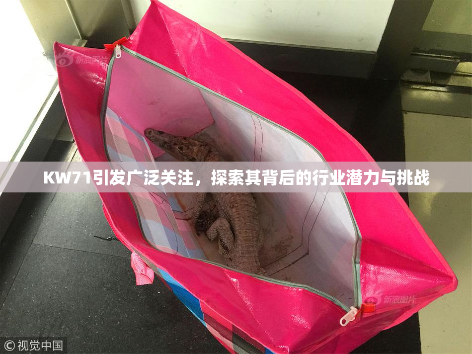 KW71引发广泛关注，探索其背后的行业潜力与挑战