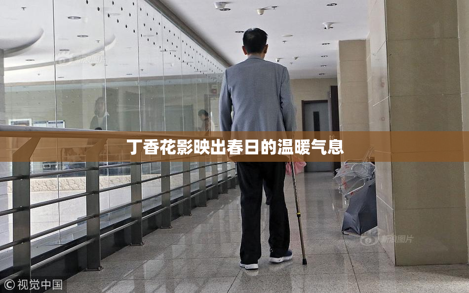 丁香花影映出春日的温暖气息