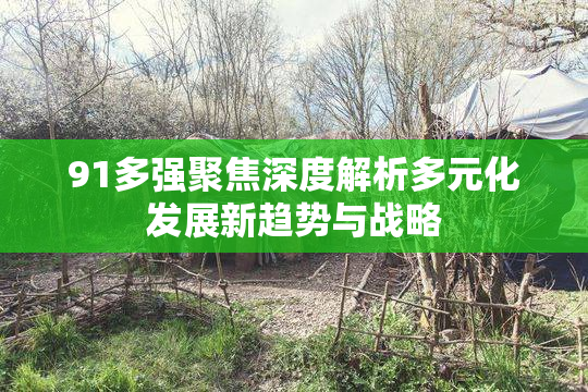 91多强聚焦深度解析多元化发展新趋势与战略