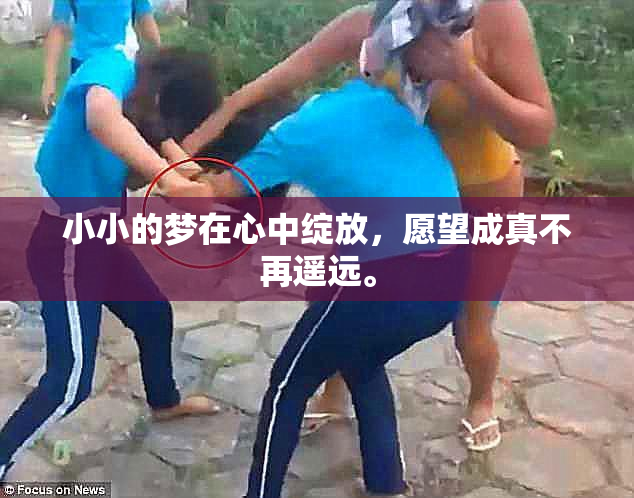 小小的梦在心中绽放，愿望成真不再遥远。