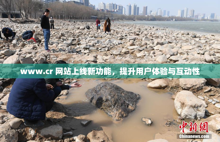 www.cr 网站上线新功能，提升用户体验与互动性