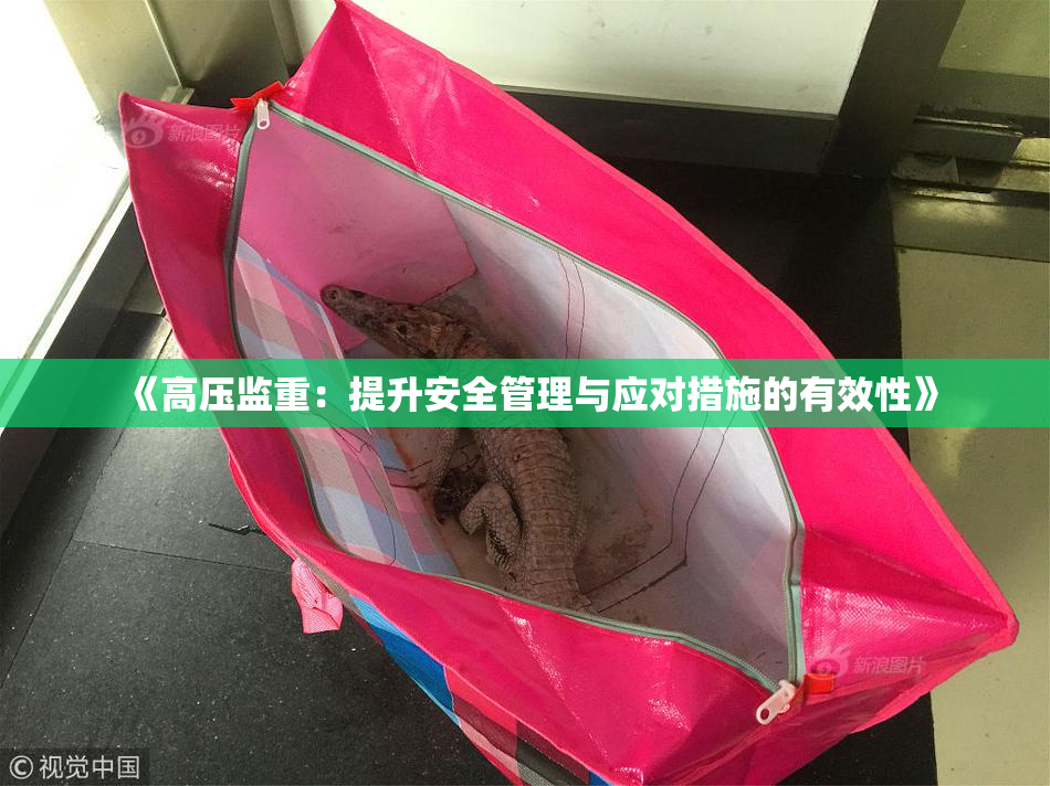 《高压监重：提升安全管理与应对措施的有效性》