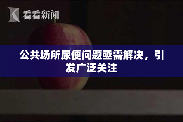 公共场所尿便问题亟需解决，引发广泛关注