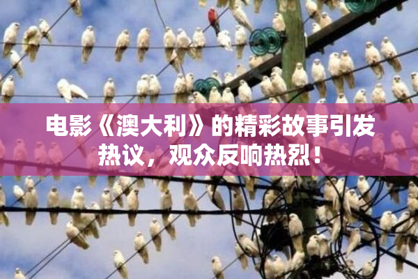 电影《澳大利》的精彩故事引发热议，观众反响热烈！