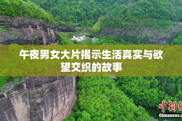 午夜男女大片揭示生活真实与欲望交织的故事