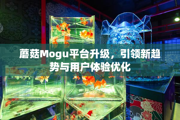 蘑菇Mogu平台升级，引领新趋势与用户体验优化