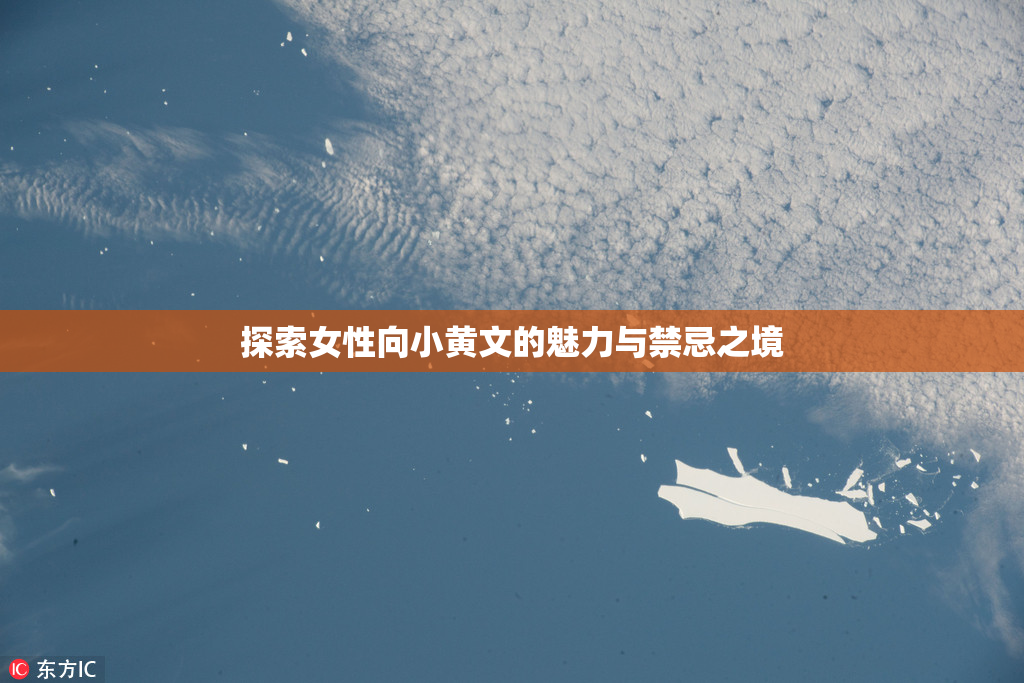 探索女性向小黄文的魅力与禁忌之境