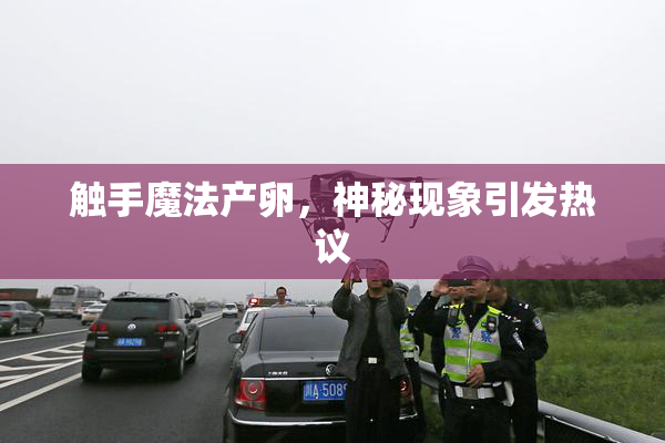 触手魔法产卵，神秘现象引发热议