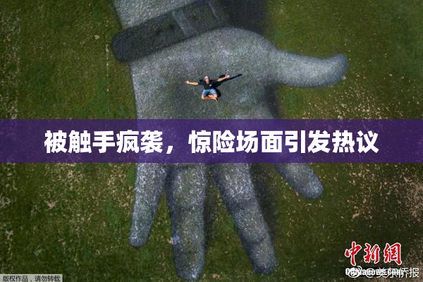 被触手疯袭，惊险场面引发热议