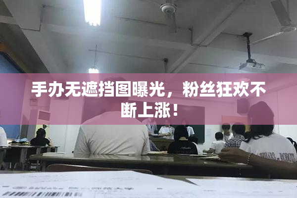 手办无遮挡图曝光，粉丝狂欢不断上涨！