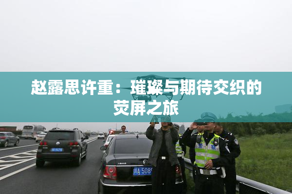 赵露思许重：璀璨与期待交织的荧屏之旅