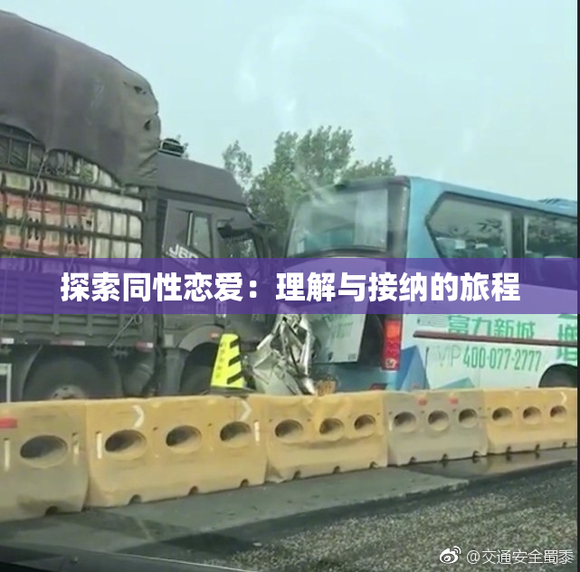探索同性恋爱：理解与接纳的旅程