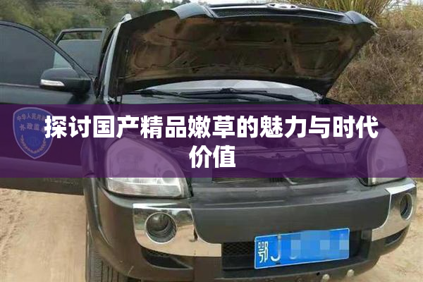 探讨国产精品嫩草的魅力与时代价值
