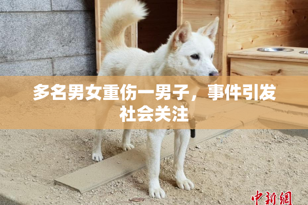 多名男女重伤一男子，事件引发社会关注
