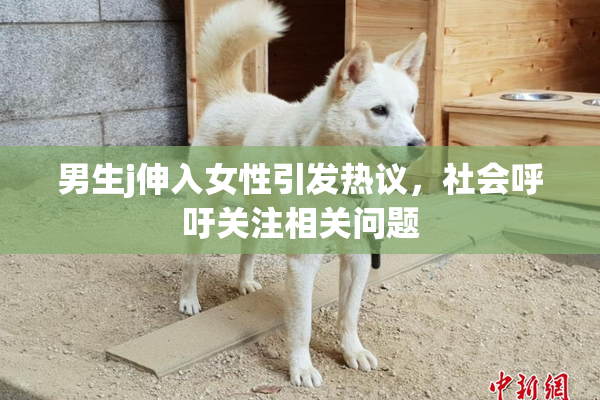 男生j伸入女性引发热议，社会呼吁关注相关问题