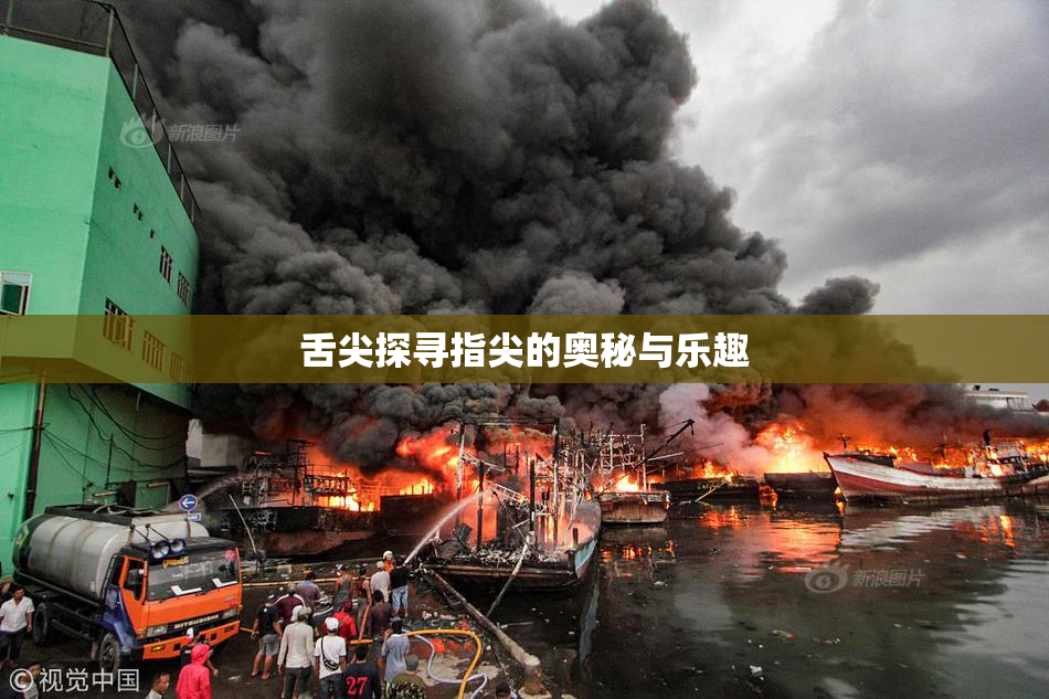 舌尖探寻指尖的奥秘与乐趣