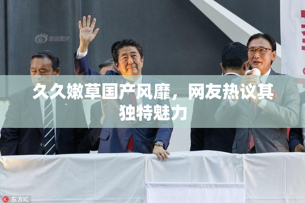 久久嫩草国产风靡，网友热议其独特魅力
