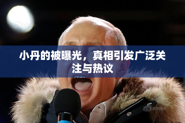 小丹的被曝光，真相引发广泛关注与热议