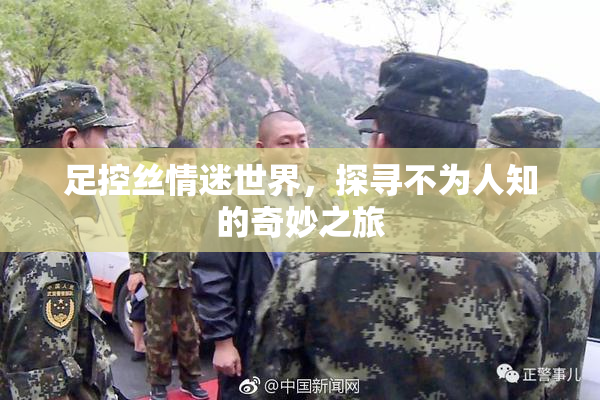 足控丝情迷世界，探寻不为人知的奇妙之旅
