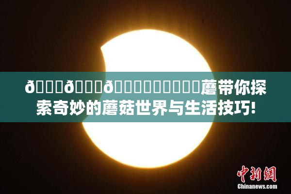 🍆🍑🔞❌‌❌‌❌‌蘑带你探索奇妙的蘑菇世界与生活技巧!