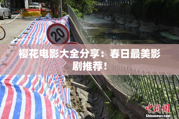 樱花电影大全分享：春日最美影剧推荐！