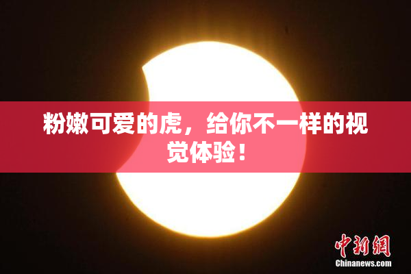 粉嫩可爱的虎，给你不一样的视觉体验！