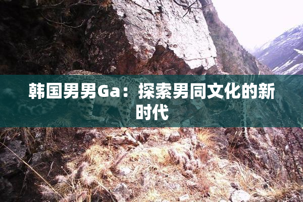 韩国男男Ga：探索男同文化的新时代