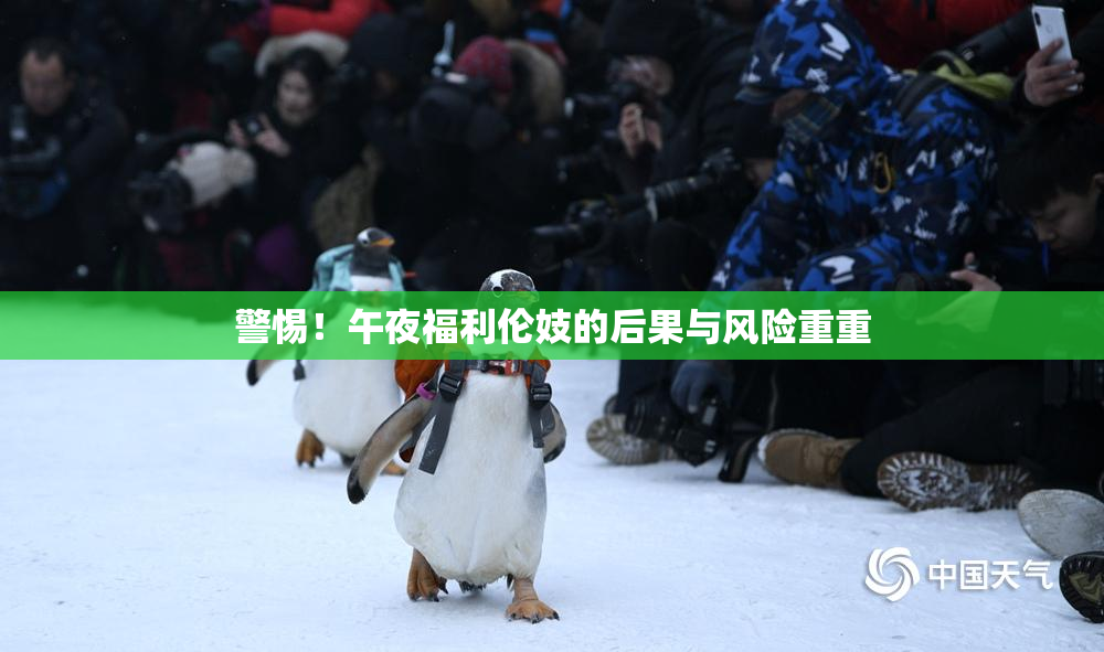 警惕！午夜福利伦妓的后果与风险重重