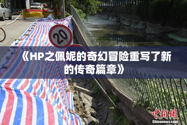 《HP之佩妮的奇幻冒险重写了新的传奇篇章》