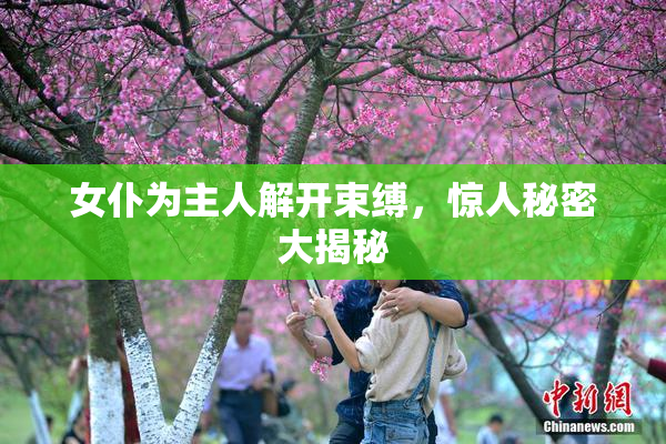 女仆为主人解开束缚，惊人秘密大揭秘