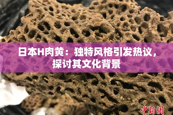 日本H肉黄：独特风格引发热议，探讨其文化背景