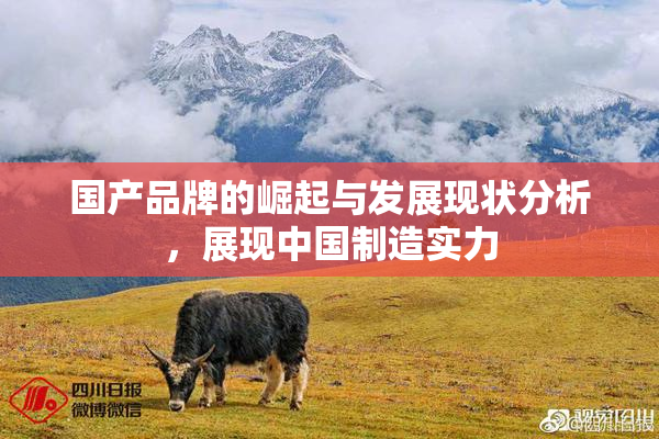 国产品牌的崛起与发展现状分析，展现中国制造实力