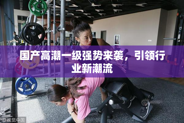 国产高潮一级强势来袭，引领行业新潮流