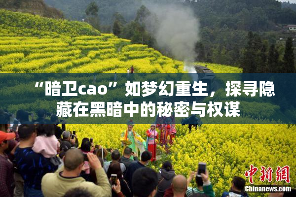 “暗卫cao”如梦幻重生，探寻隐藏在黑暗中的秘密与权谋