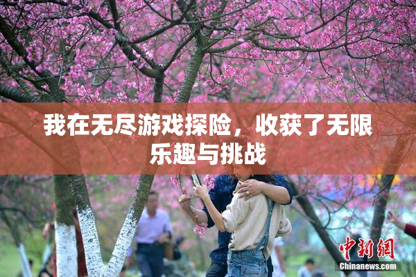 我在无尽游戏探险，收获了无限乐趣与挑战