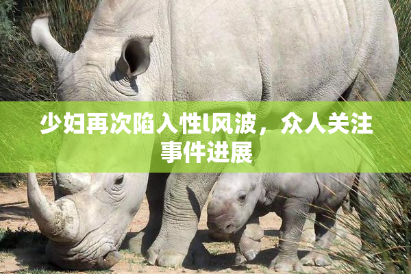 少妇再次陷入性l风波，众人关注事件进展