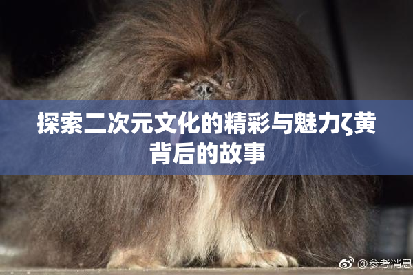 探索二次元文化的精彩与魅力ζ黄背后的故事