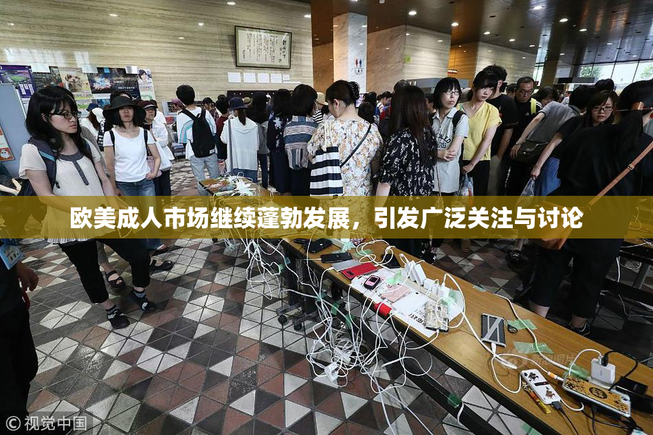 欧美成人市场继续蓬勃发展，引发广泛关注与讨论